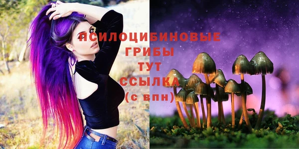 твердый Балабаново