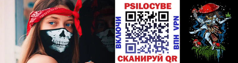 Псилоцибиновые грибы мицелий  Новый Оскол 