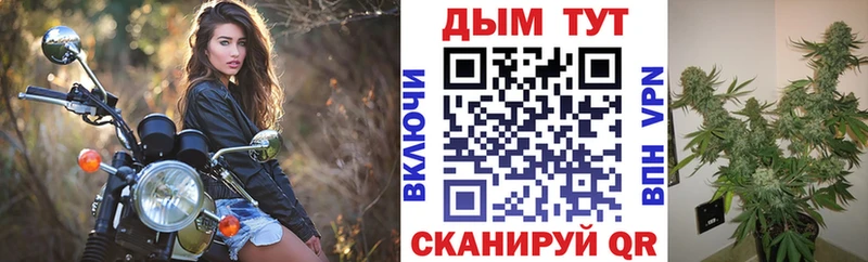 Канабис White Widow  купить  сайты  Новый Оскол 